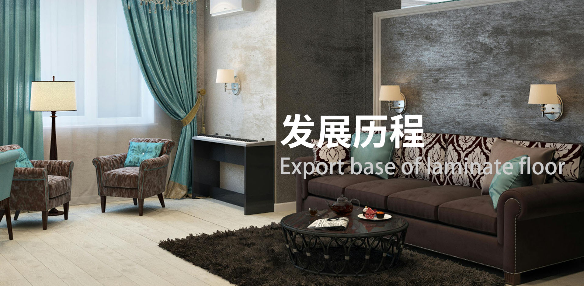 发展历程banner